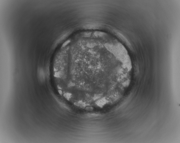 X0000111470586200908101116