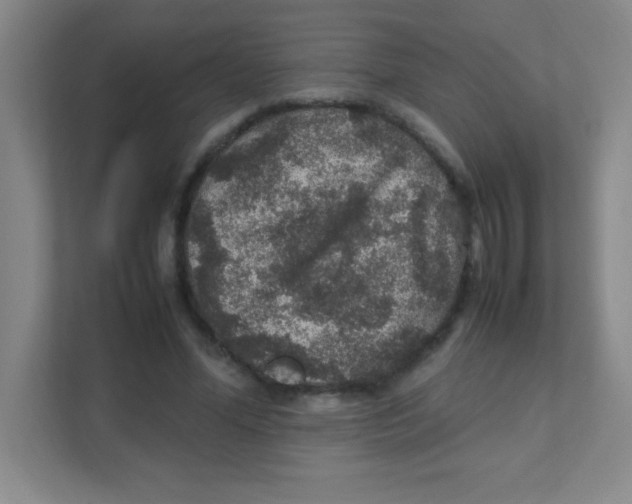 X0000111470588200908101116