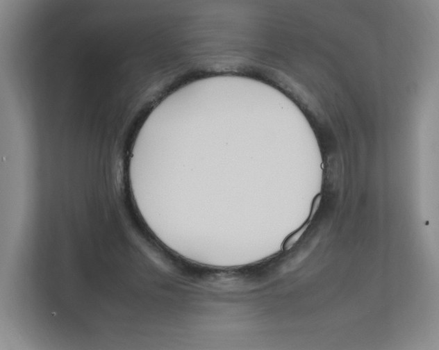 X0000111470589200908101116