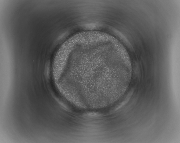 X0000111470590200908101116