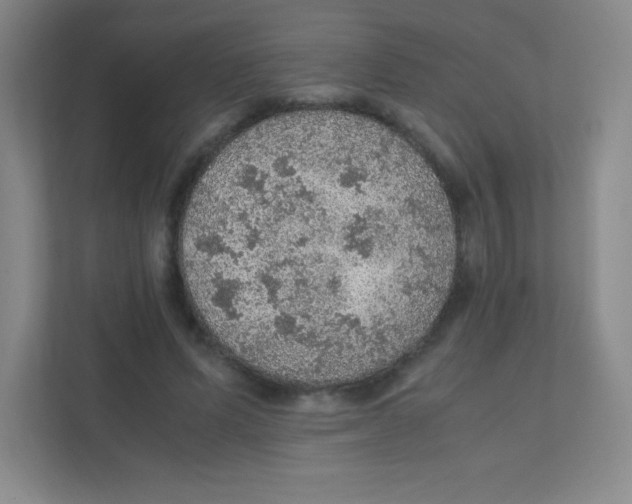 X0000111470591200908101116