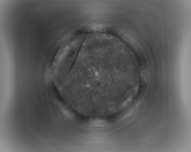 X0000111470593200908101116