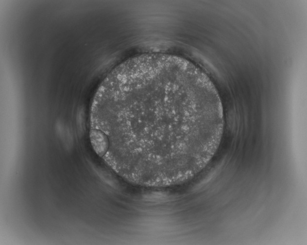 X0000111470594200908101116