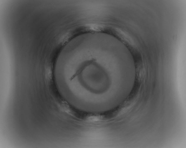 X0000111470595200908101116