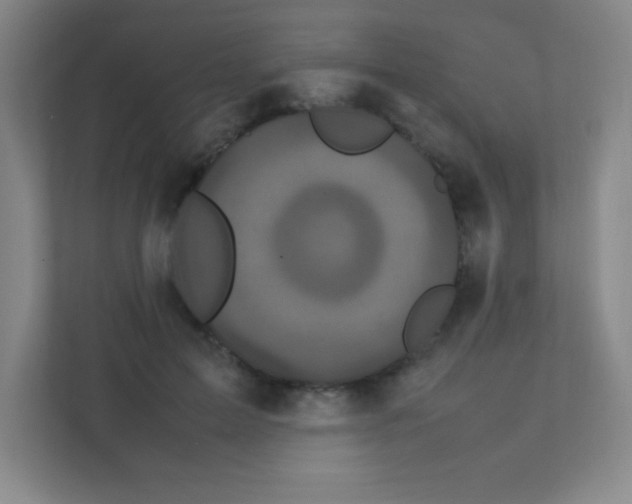 X0000111470599200908101116