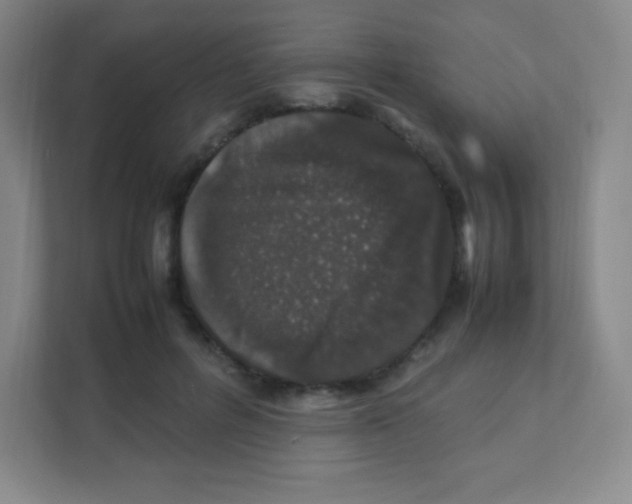 X0000111470600200908101116