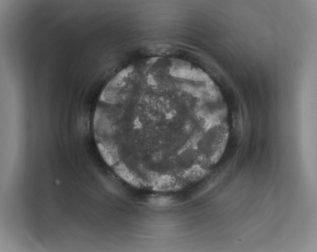 X0000111470602200908101116