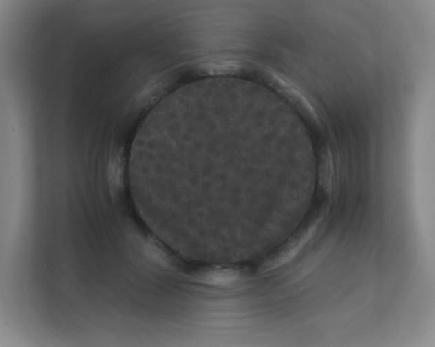 X0000111470604200908101116