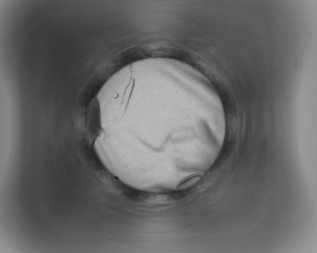 X0000111470609200908101116