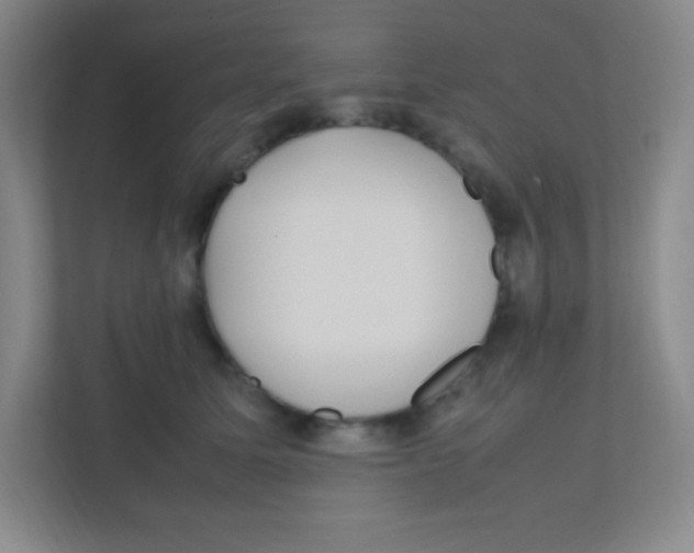 X0000111470611200908101116