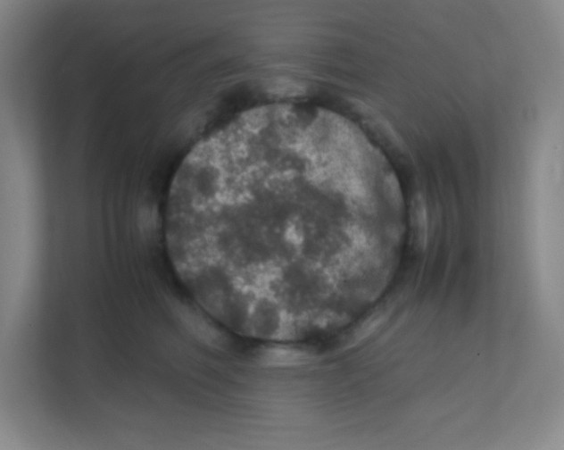 X0000111470614200908101116