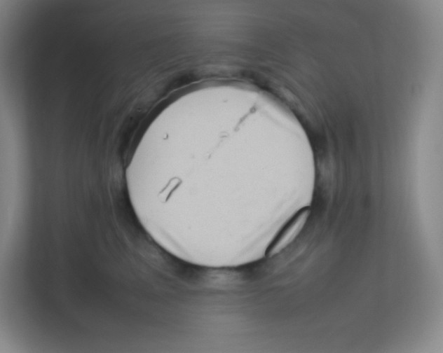 X0000111470617200908101116