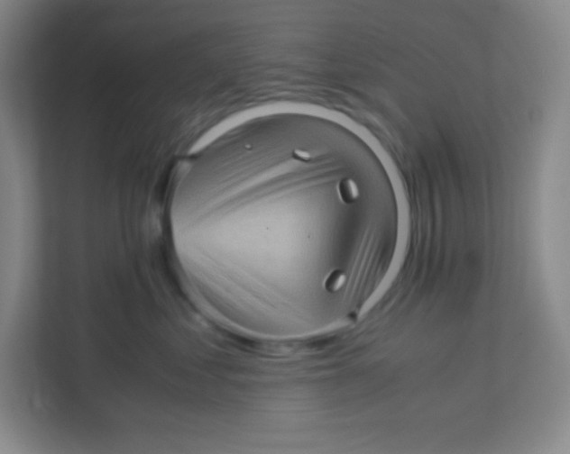 X0000111470621200908101116