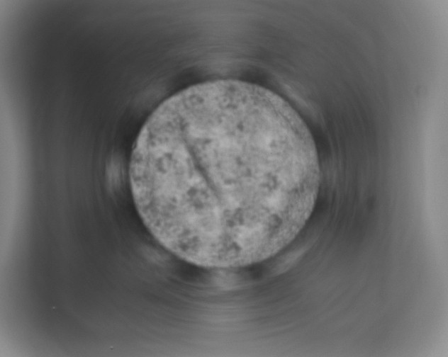 X0000111470623200908101116