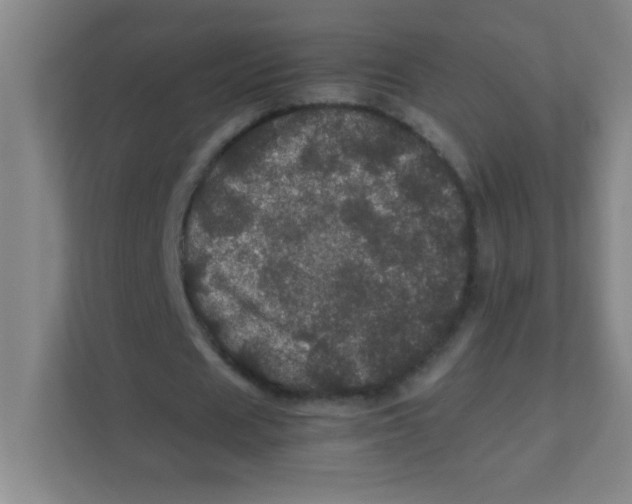 X0000111470625200908101115