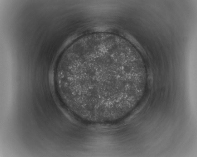 X0000111470626200908101115