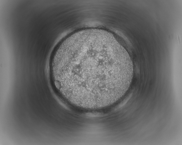 X0000111470630200908101115