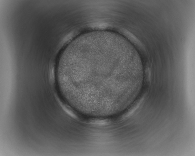 X0000111470638200908101115