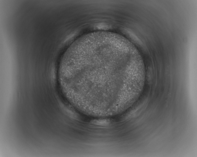 X0000111470639200908101115