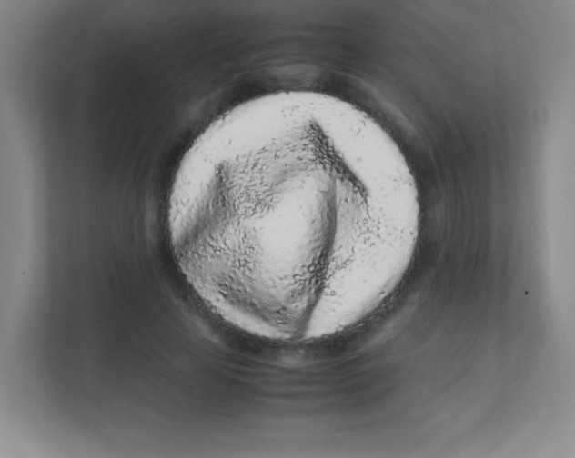 X0000111470641200908101115