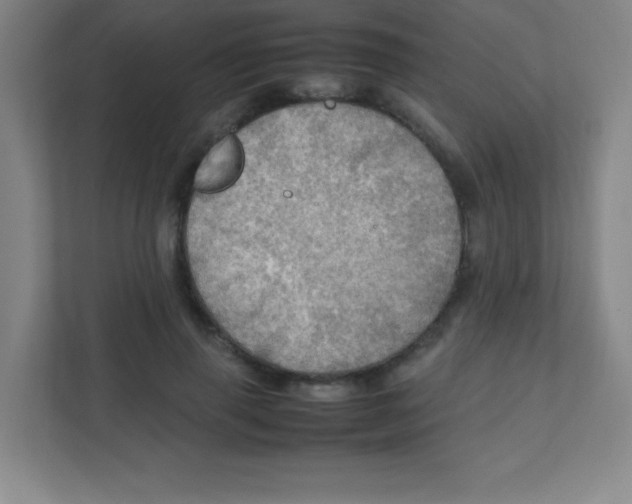 X0000111470645200908101115