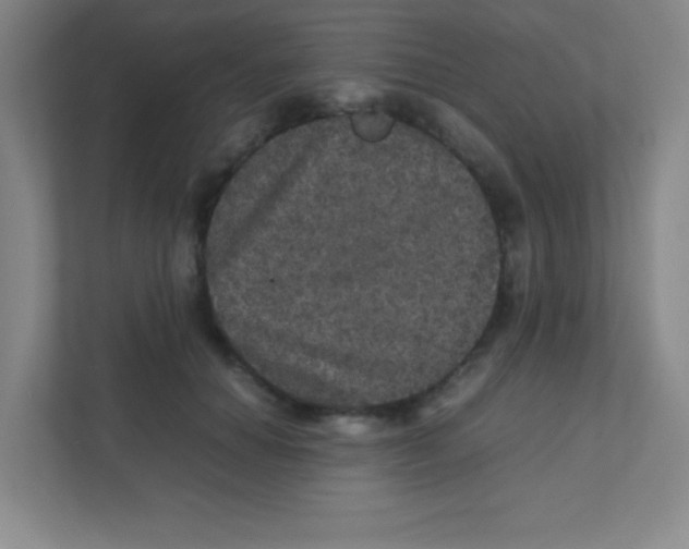 X0000111470654200908101115