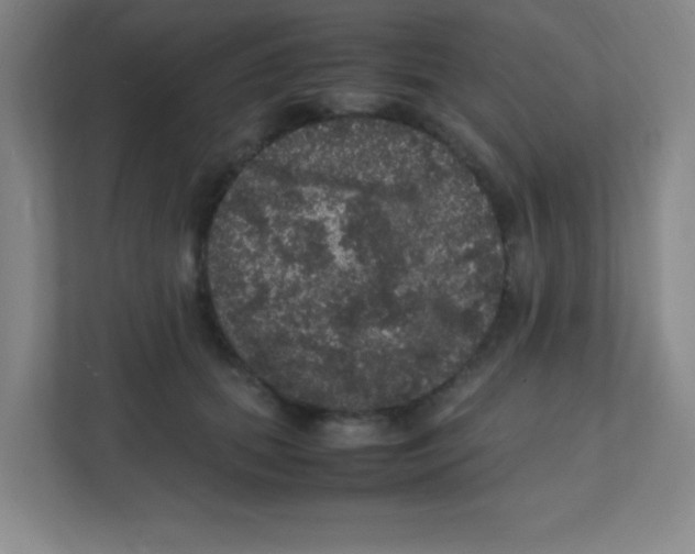 X0000111470655200908101115