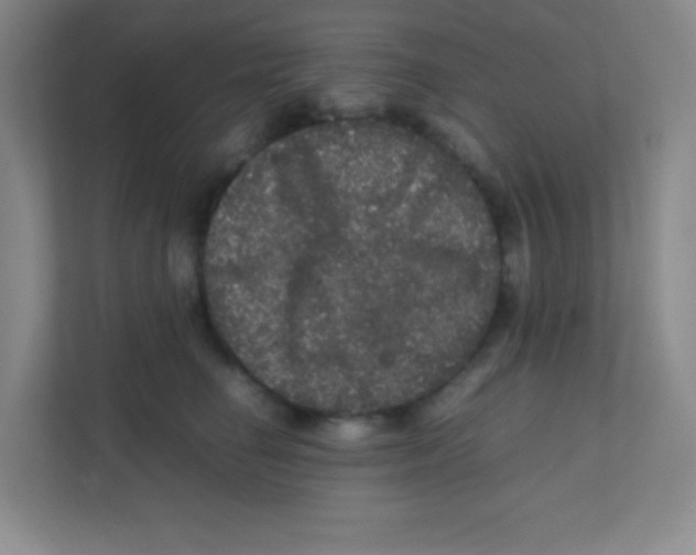 X0000111470662200908101116