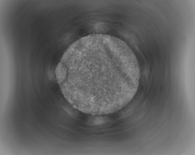 X0000111470663200908101116