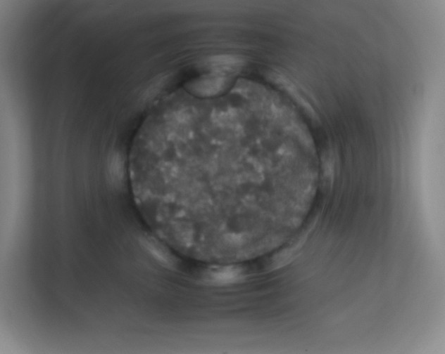 X0000111470667200908101116