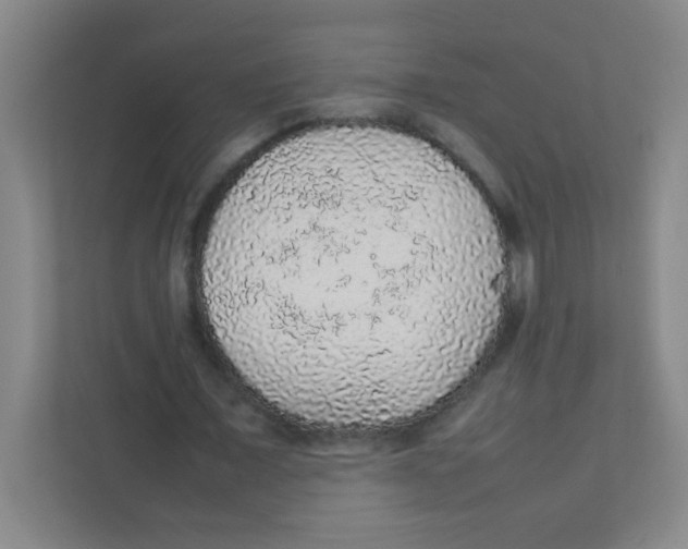 X0000111470675200908101115