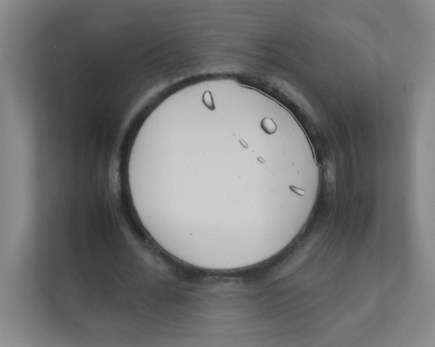 X0000111470676200908101115