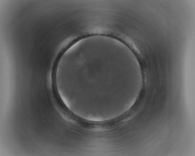 X0000111470678200908101115