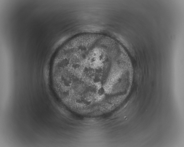 X0000111470679200908101115