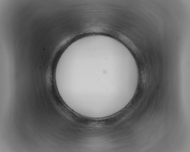 X0000111470680200908101115