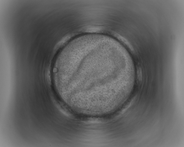 X0000111470682200908101115