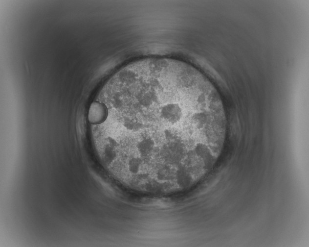 X0000111470683200908101115