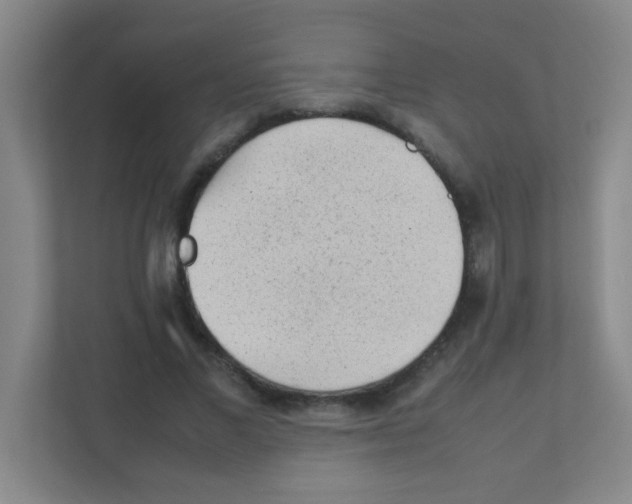 X0000111470685200908101115