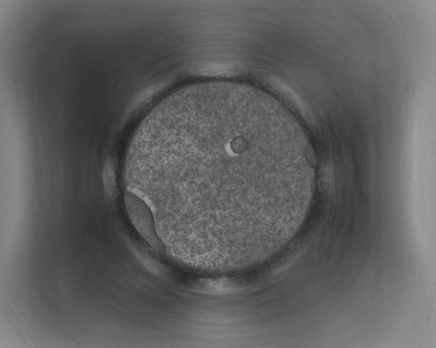 X0000111470688200908101115