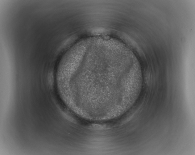 X0000111470690200908101115