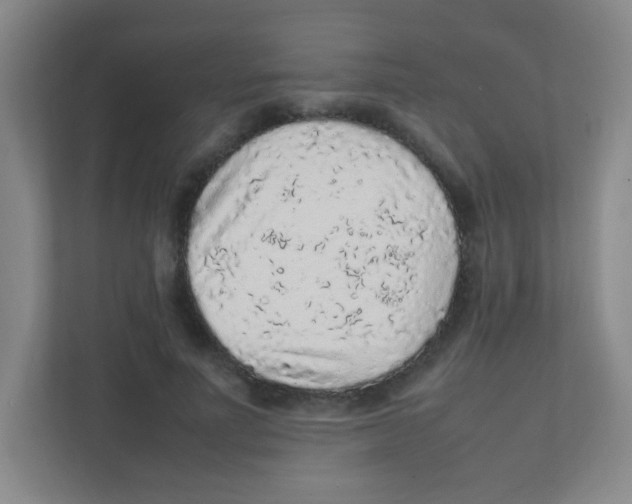 X0000111470691200908101115