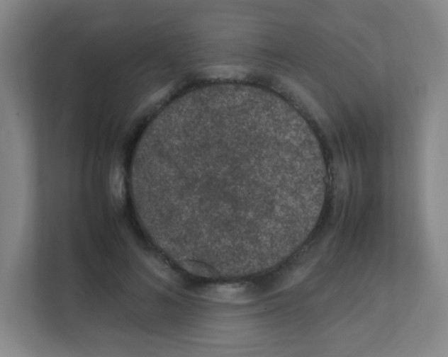 X0000111470692200908101115