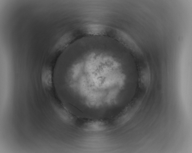 X0000111470696200908101115