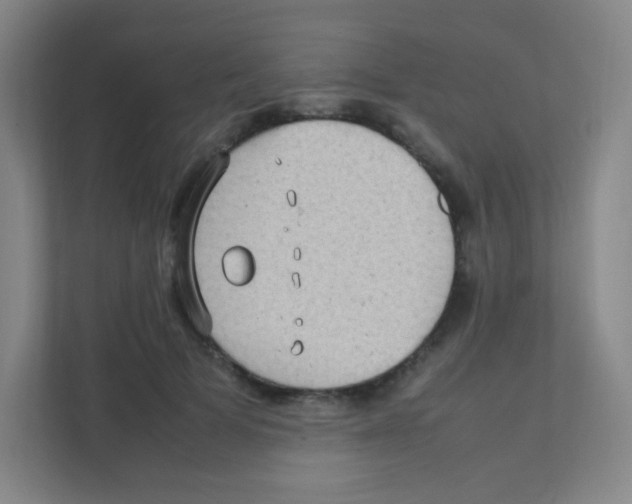 X0000111470697200908101115