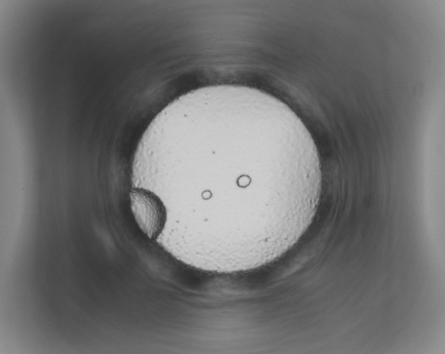 X0000111470699200908101115