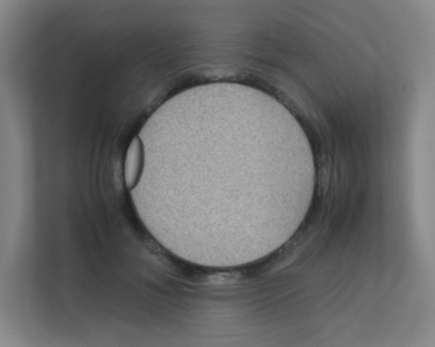 X0000111470700200908101115