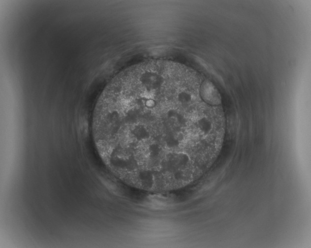 X0000111470703200908101115