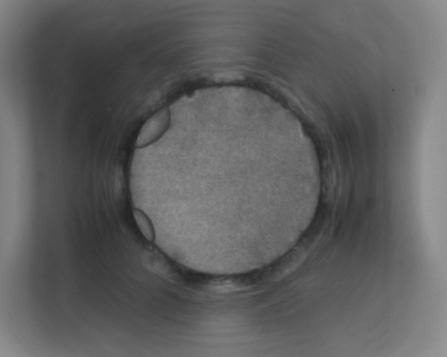 X0000111470704200908101115