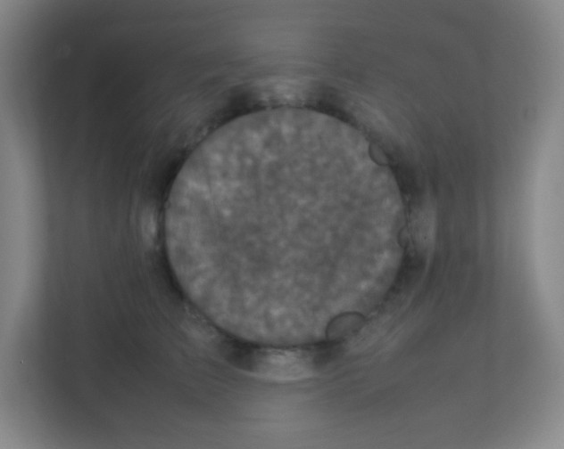 X0000111470709200908101115