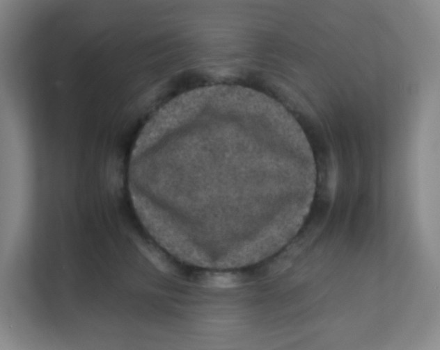 X0000111470710200908101115